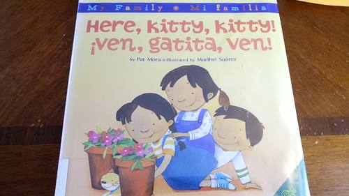Preview of Here Kitty Kitty Book Read Aloud in Spanish and English