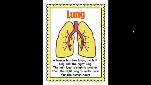 Let's learn about Human Body Organs l Printable flash cards with ...