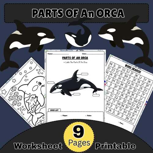 Parts Of An Orca Worksheet | Marine Animal Body Parts Labeling Activities