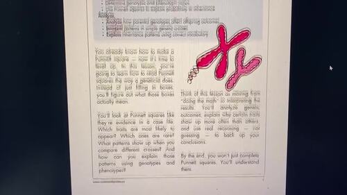 Intro Inheritance Patterns, Trait Prediction, Genetics Sub Plans activity packet