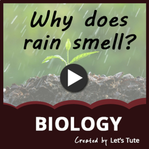 Why does Rain smell? Biology (Science) by Letstute TPT