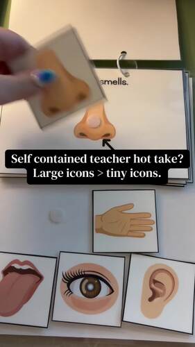 5 Senses Adapted Book by Tabitha Shine | TPT