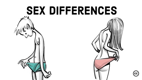 Preview of Sex Differences