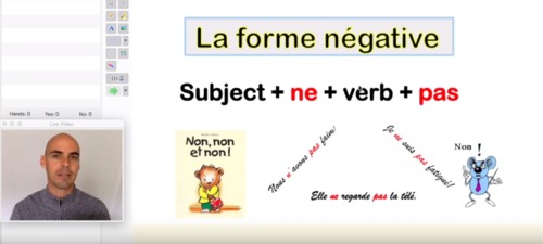 Preview of French lesson on the negative form in French