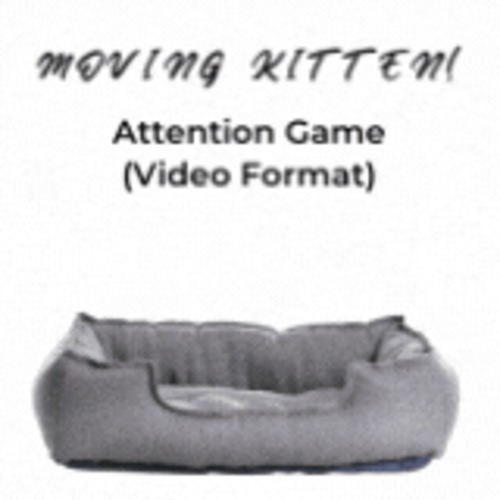Preview of Sustained Attention or Brain Break Activity video format Moving Kitten