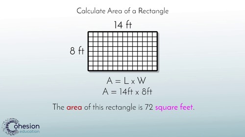 Preview of Find the Area of a Rectangle
