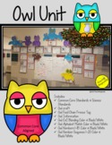 Fall Owl Math and Language Activities Video