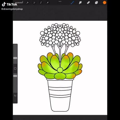 100 Procreate Succulents Stamp Brushes,Procreate Plant Stamps,Procreate ...