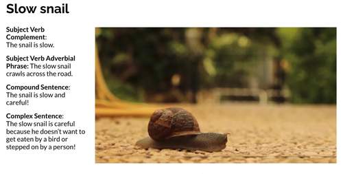Concepts in action: Slow (a level 1 movement concept) by Speechies in