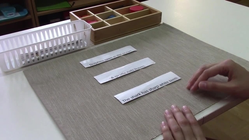 Preview of Montessori Symbolizing Grammar sentences