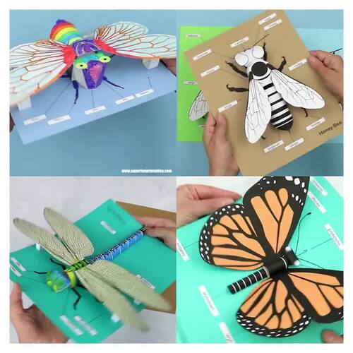 Realistic 3D Insect Crafts