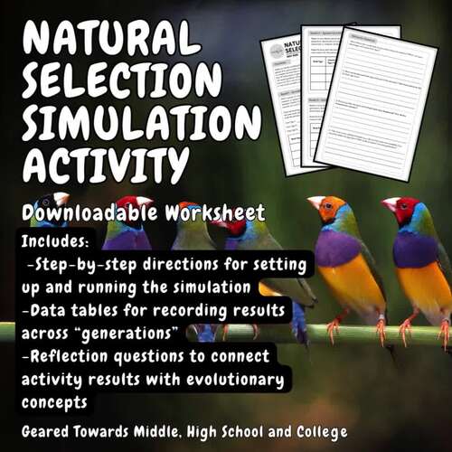Natural Selection Simulation Activity – Engaging Hands-On Evolution Lesson