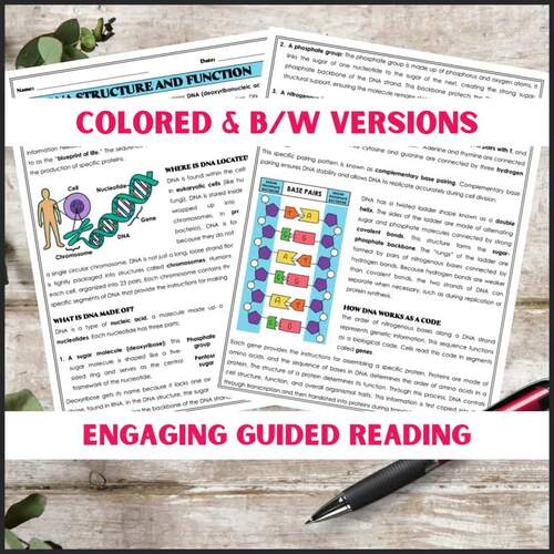 DNA Structure and Function Reading Comprehension Passage & Questions ...