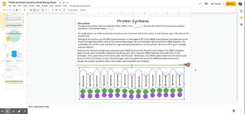Digital Protein Synthesis Model Distance Learning Biology Roots