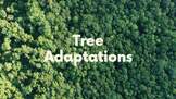 Tree Adaptations