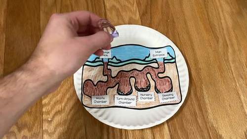 Groundhog Gets a Say READ ALOUD STEM™ Challenge: Groundhog Burrow Activity