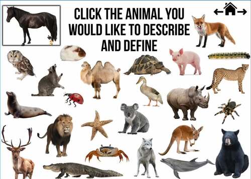 Describe and Define Animals Deck 2 Boom Cards™ - Language Activity