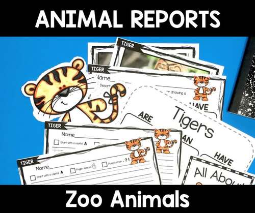 Zoo Animals - Animal Research Reports Tiger Panda Bear