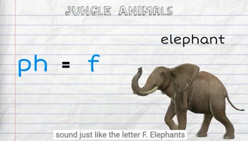 Preview of Jungle Animals 3