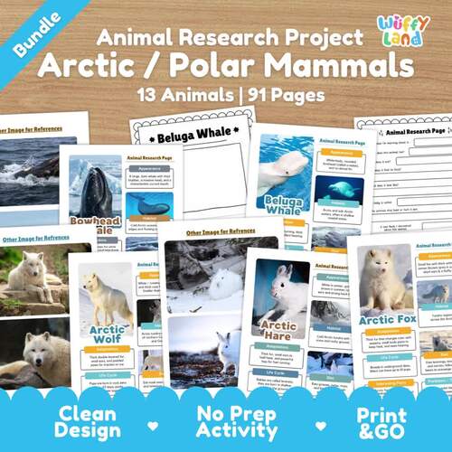 Arctic and Polar Mammals Research Project Bundle | Winter Wildlife ...