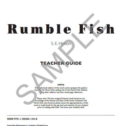 Rumble Fish Novel Units® Teacher Guide Novel Study | TPT