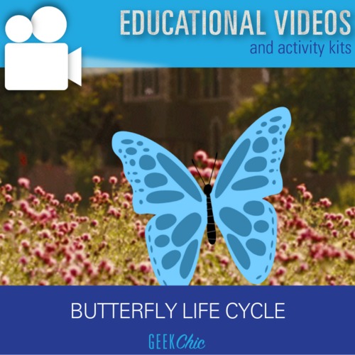 Preview of Biology Life Cycles: Butterfly Life Cycle Video + Activities Kit