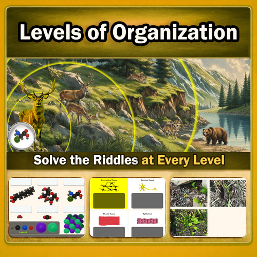 Preview of Levels of Organization in Biology – Cells, Tissues, Organs, Ecosystems