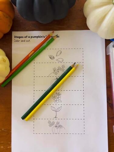 Life Cycle of a Pumpkin Craft: Foldout by Creative Classrooms 123