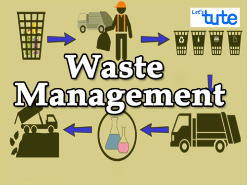 Preview of Environmental Science  Waste Management  Compiled/ Bundled Session