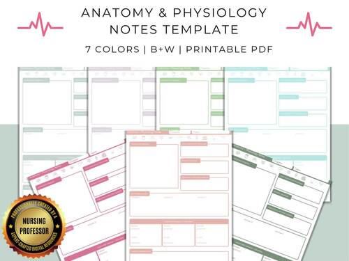 Anatomy & Physiology Note Taking Template | Pastels by Prof Notes for ...
