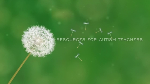 Preview of Preview of Mixed VB Box for ITT - Autism / ABA