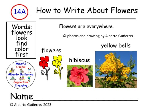 Preview of Read Aloud Video: How To Write About Flowers #14A