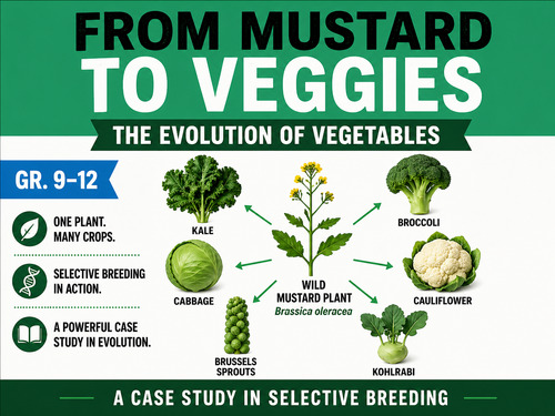 Preview of Mustard to Veggies Video | Artificial Selection & Evolution Biology