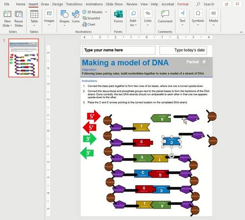 Dna Base Pairing Drag N Drop Chuck Nguyen Teachers Pay Teachers