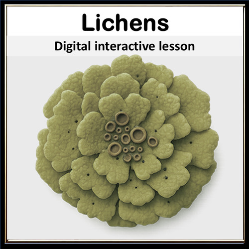 Preview of Lichens – Interactive Identification Lesson with Realistic Teaching Key