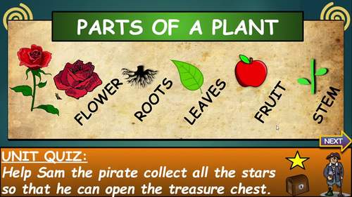 Interactive: Parts of a Plant: Google Slides, Distance Learning + 4 ...