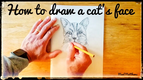 Art Lesson Draw A Cat S Face By Start Art Education Tpt