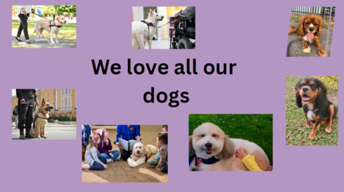 Preview of Different jobs of dogs - read aloud & editable power point version
