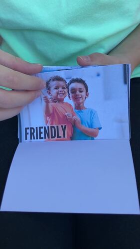 Emotions and Feelings Flashcards by Paper And Glue | TPT
