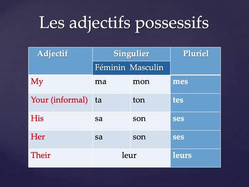 French Possessive Adjectives PowerPoint and Interactive Notebook Activities