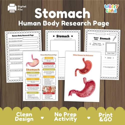 Stomach Human Body Research Project Digestive System Science Informational Text