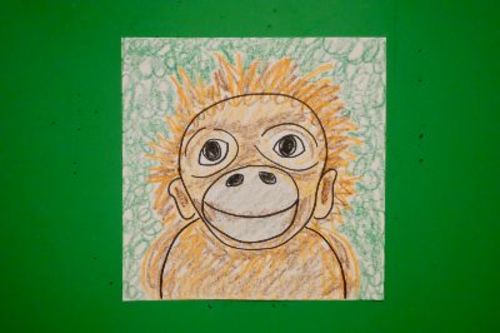 orangutan drawing step by step