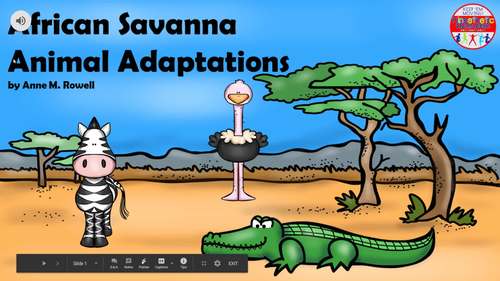 Animal Adaptations In Savanna