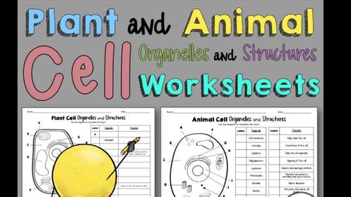 Plant and Animal Cell Organelles and Structures Worksheets | TPT