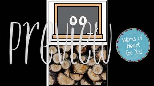 Digraph oo - 3 levels of reading - single words, emergent readers & a ...