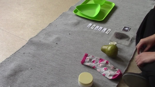 Preview of Montessori Homophones lesson