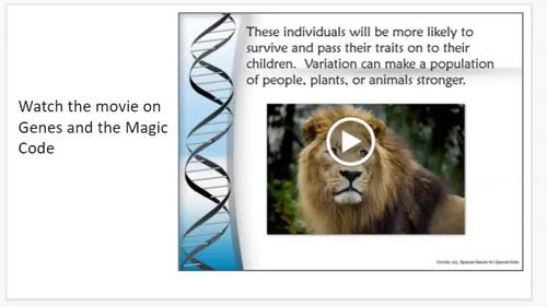 Genes and Heredity Unit for Special Education PRINT AND DIGITAL | TpT
