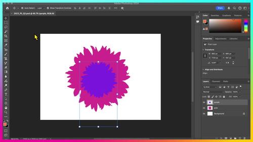 ADOBE PHOTOSHOP 2023 CERTIFICATION TEST PRACTICE STUDY GUIDE TPT