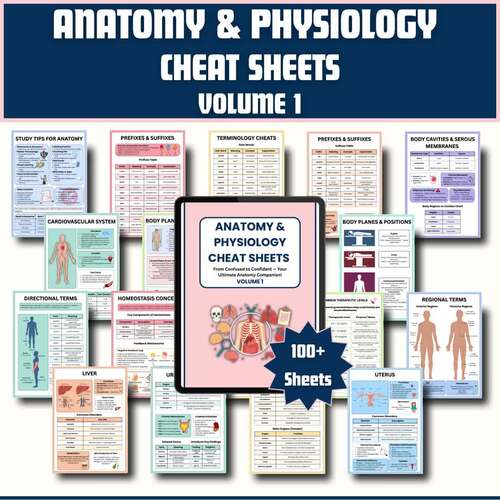Anatomy and Physiology Study Guide | Nursing & Health Science PDF