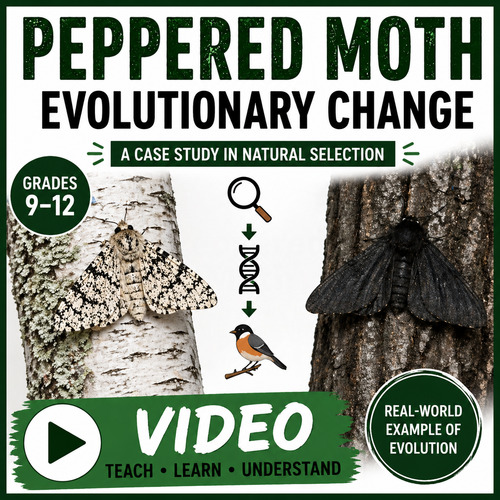 Preview of Natural Selection VIDEO: Peppered Moth & Industrial Melanism Case Study